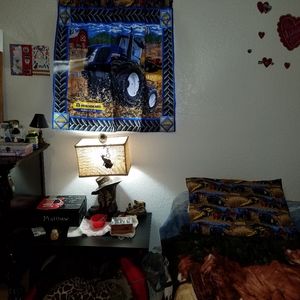Curtain&pillow Set / Case/boys room